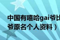 中国有嘻哈gai爷比赛全程（中国有嘻哈GAI爷原名个人资料）