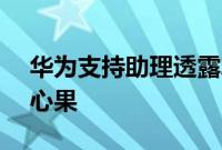 华为支持助理透露Android P可能被称为开心果