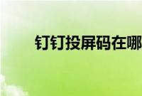 钉钉投屏码在哪里找（你学会了吗）