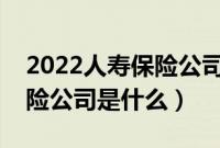 2022人寿保险公司排名（排名前几的人寿保险公司是什么）