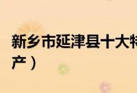 新乡市延津县十大特产（新乡市延津县十大特产）