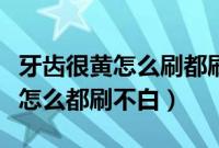 牙齿很黄怎么刷都刷不白怎么解决（牙齿很黄怎么都刷不白）