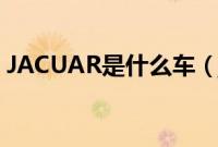 JACUAR是什么车（jacuar是什么车豹子头）