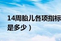 14周胎儿各项指标（14周胎儿彩超数据标准是多少）