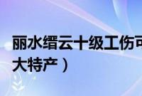 丽水缙云十级工伤可以赔多少钱（丽水缙云十大特产）