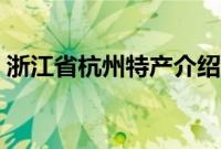 浙江省杭州特产介绍（浙江省杭州特产列表）