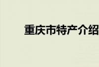 重庆市特产介绍（重庆市特产列表）