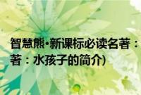 智慧熊·新课标必读名著：水孩子(关于智慧熊·新课标必读名著：水孩子的简介)