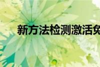 新方法检测激活免疫细胞的肠道微生物