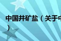 中国井矿盐（关于中国井矿盐的基本详情介绍）