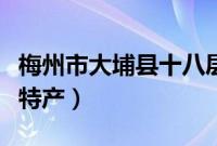 梅州市大埔县十八层地狱（梅州市大埔县十大特产）