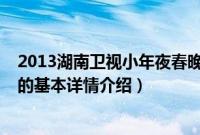 2013湖南卫视小年夜春晚（关于2013湖南卫视小年夜春晚的基本详情介绍）