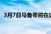 3月7日马鲁蒂将在这些汽车中引入6速汽车