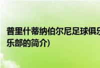 普里什蒂纳伯尔尼足球俱乐部(关于普里什蒂纳伯尔尼足球俱乐部的简介)