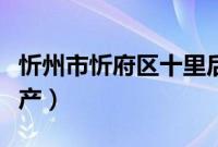 忻州市忻府区十里后村（忻州市忻府区十大特产）