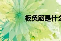 板负筋是什么（板负筋介绍）