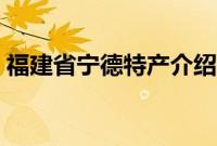 福建省宁德特产介绍（福建省宁德特产列表）