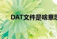 DAT文件是啥意思（DAT文件的简介）