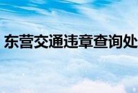 东营交通违章查询处理（东营交通违章查询）