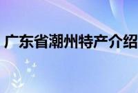 广东省潮州特产介绍（广东省潮州特产列表）