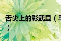 舌尖上的彰武县（阜新市彰武县小吃美食介绍）