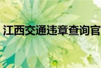 江西交通违章查询官网（江西交通违章查询）