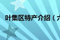 叶集区特产介绍（六安市叶集区特产大全）