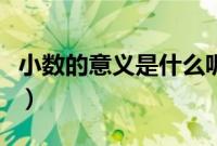 小数的意义是什么呢（小数的意义到底是什么）