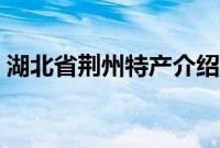 湖北省荆州特产介绍（湖北省荆州特产列表）