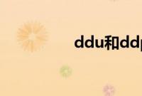 ddu和ddp区别（ddu）