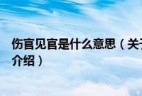 伤官见官是什么意思（关于伤官见官是什么意思的基本详情介绍）