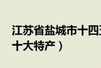 江苏省盐城市十四五及2035（江苏省盐城市十大特产）