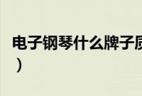 电子钢琴什么牌子质量好性价比高（电子钢琴）