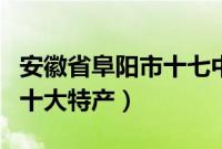 安徽省阜阳市十七中罗庄社区（安徽省阜阳市十大特产）