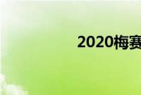 2020梅赛德斯奔驰S级