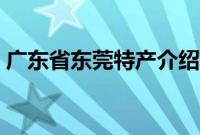 广东省东莞特产介绍（广东省东莞特产列表）