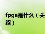 fpga是什么（关于fpga是什么的基本详情介绍）