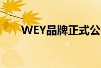 WEY品牌正式公布了拿铁的车身颜色