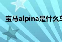 宝马alpina是什么车（多少钱一辆有多贵）