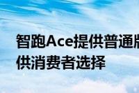 智跑Ace提供普通版和GT-line版两种车型以供消费者选择