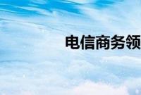 电信商务领航（商务领航）