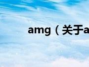 amg（关于amg的基本详情介绍）