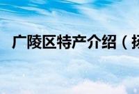 广陵区特产介绍（扬州市广陵区特产大全）