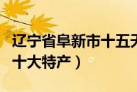 辽宁省阜新市十五天天气预报（辽宁省阜新市十大特产）