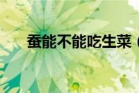 蚕能不能吃生菜（蚕可以吃生菜叶吗）