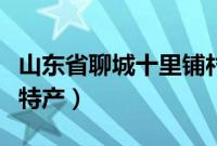 山东省聊城十里铺村服装厂（山东省聊城十大特产）