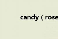 candy（rose包包是什么牌子）