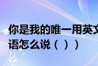 你是我的唯一用英文怎么说（你是我唯一用英语怎么说（））