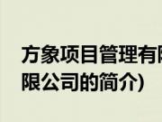 方象项目管理有限公司(关于方象项目管理有限公司的简介)