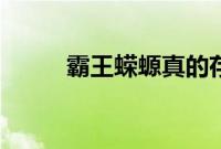 霸王蝾螈真的存在吗（霸王蝾螈）